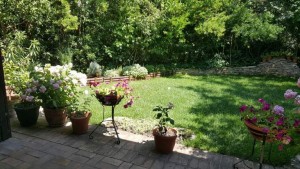 Antica Osteria Marconi, il giardino con le erbe aromatiche