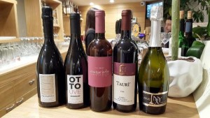Madia, i vini in degustazione Trentapioli 2016 e Ottouve 2016 di Salvatore Martusciello, Costacielo 2016 di Lunarossa e Nyx dei Vini del Cavaliere